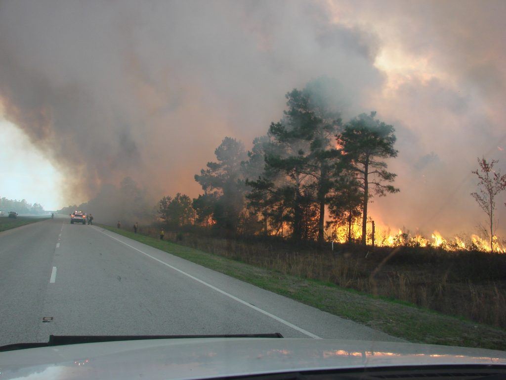Trees on fire in thick smoke