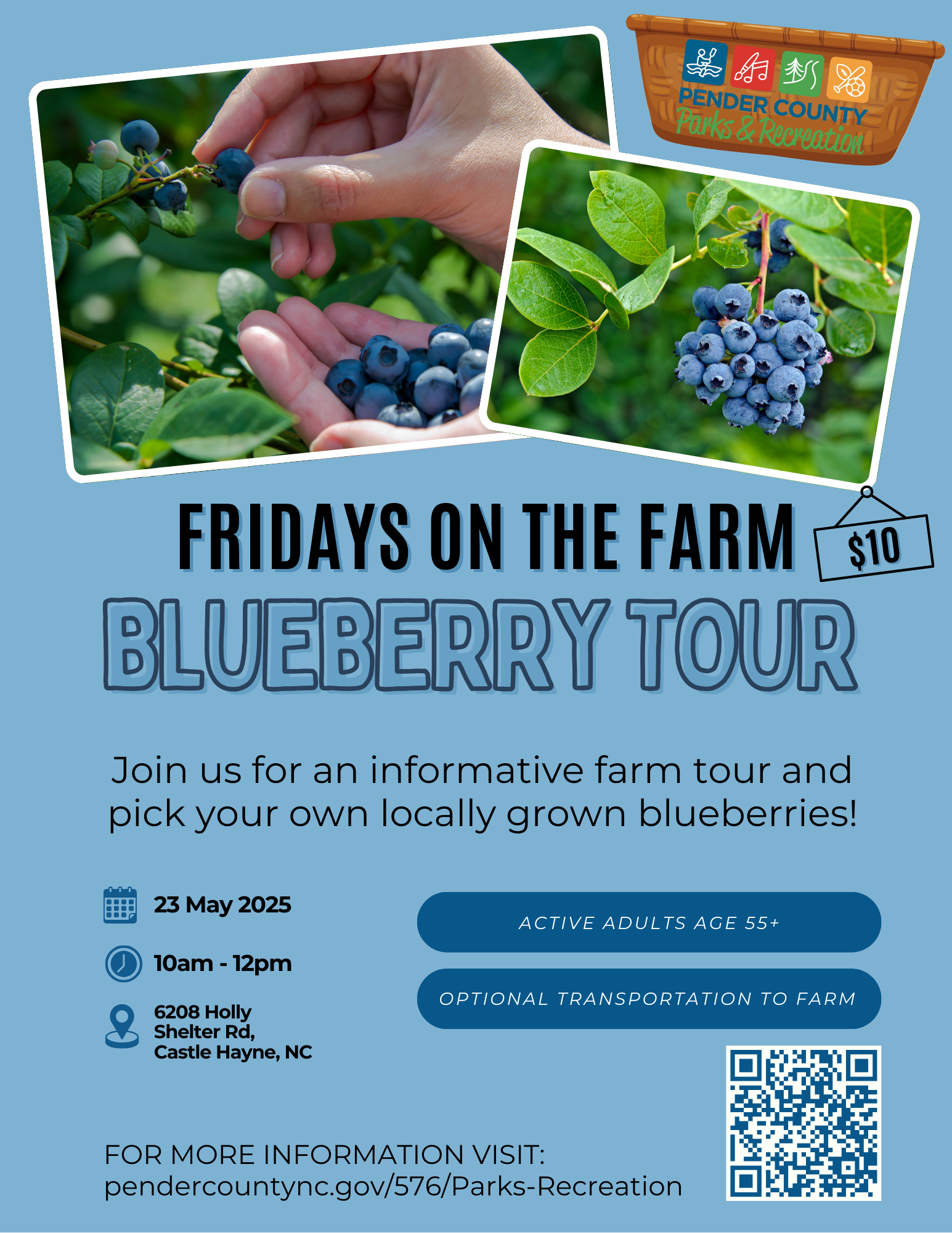 Friday on Farm- Blueberries (Real Estate Flyer)
