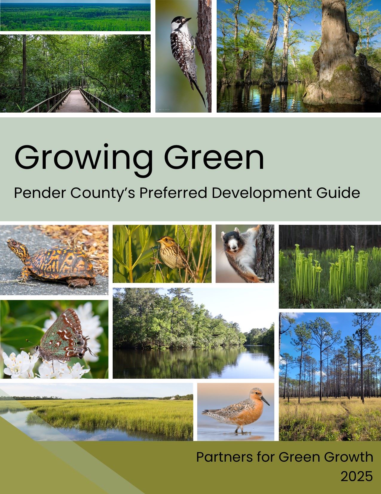 Preferred Development Guide Cover Page